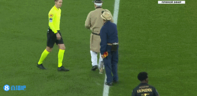 FIFA与博彩公司合作引发球迷抗议